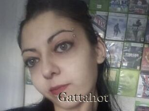Gattahot