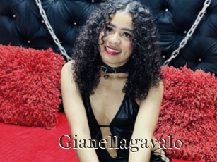 Gianellagavalo