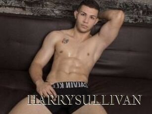 HARRYSULLIVAN