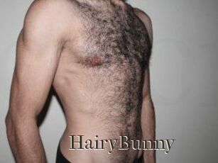 HairyBunny