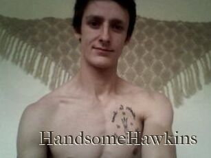 HandsomeHawkins