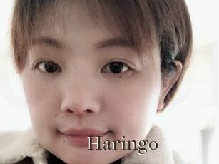 Haringo