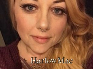 HarlowMae