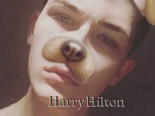 HarryHilton