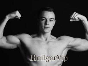 HeilgarVip