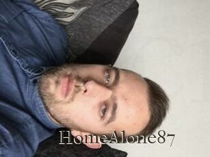 HomeAlone87