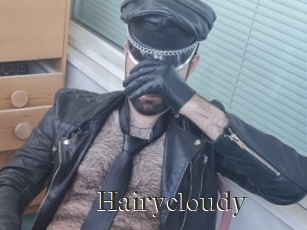 Hairycloudy