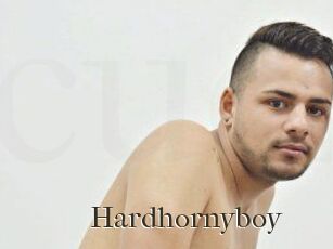 Hardhornyboy