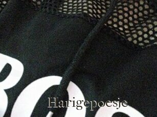 Harigepoesje