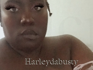 Harleydabusty