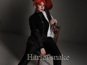 Harleysnake