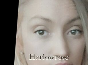 Harlowrose