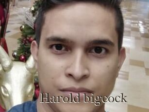 Harold_bigcock