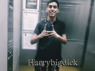 Harrybigdick