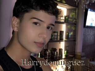 Harrydominguez