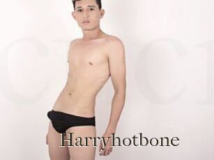 Harryhotbone