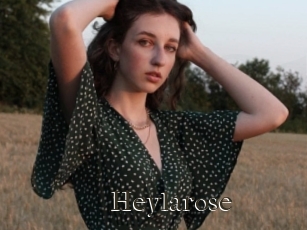 Heylarose