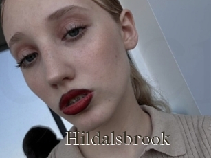 Hildalsbrook
