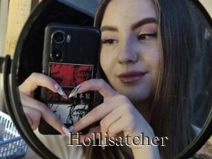 Hollisatcher