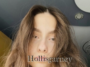 Hollisgarney