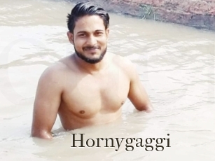 Hornygaggi