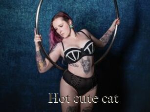 Hot_cute_cat