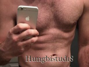 Hungbistud18