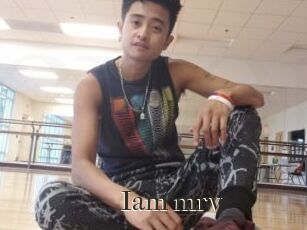 Iam_mrv