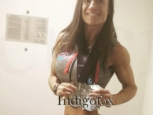 Indigofox