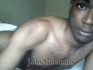 Jake_tha_snake