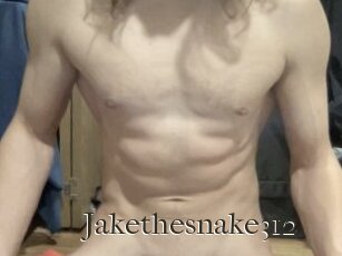 Jakethesnake312