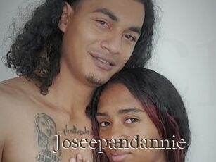 Joseepandannie