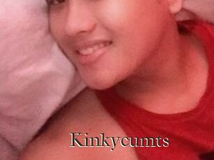 Kinkycum_ts