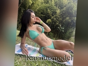 Karimemodel