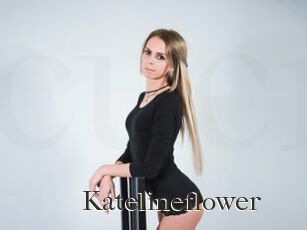 Katelineflower