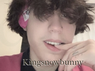 Kingsnowbunny