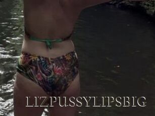 LIZPUSSYLIPSBIG