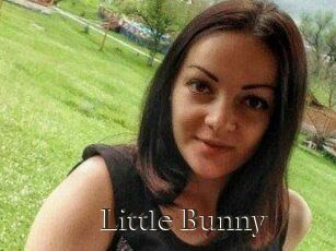 Little_Bunny_