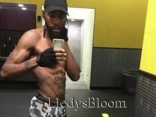 Lledys_Bloom