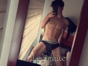 Leoignite