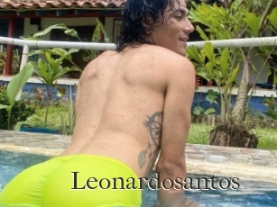 Leonardosantos