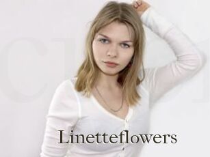 Linetteflowers