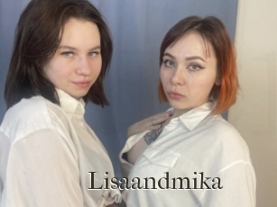 Lisaandmika