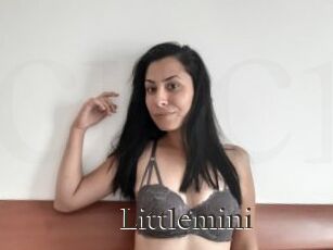 Littlemini