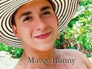 Mateo_Bunny