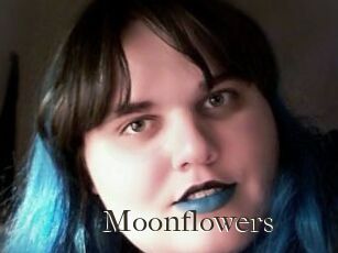 Moonflowers