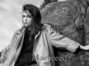 Maebreed