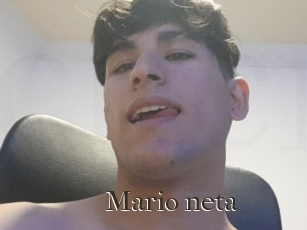 Mario_neta