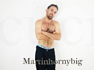 Martinhornybig