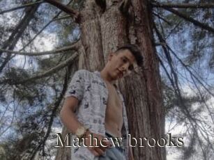 Mathew_brooks